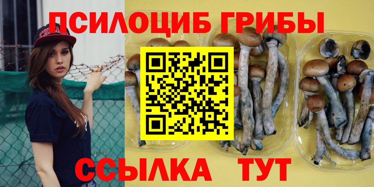 Псилоцибиновые грибы Psilocybine cubensis Качканар