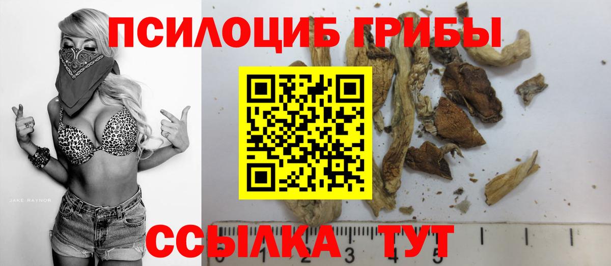 Качканар  Галлюциногенные грибы MAGIC MUSHROOMS  Галлюциногенные грибы Psilocybe  Вход с VPN 